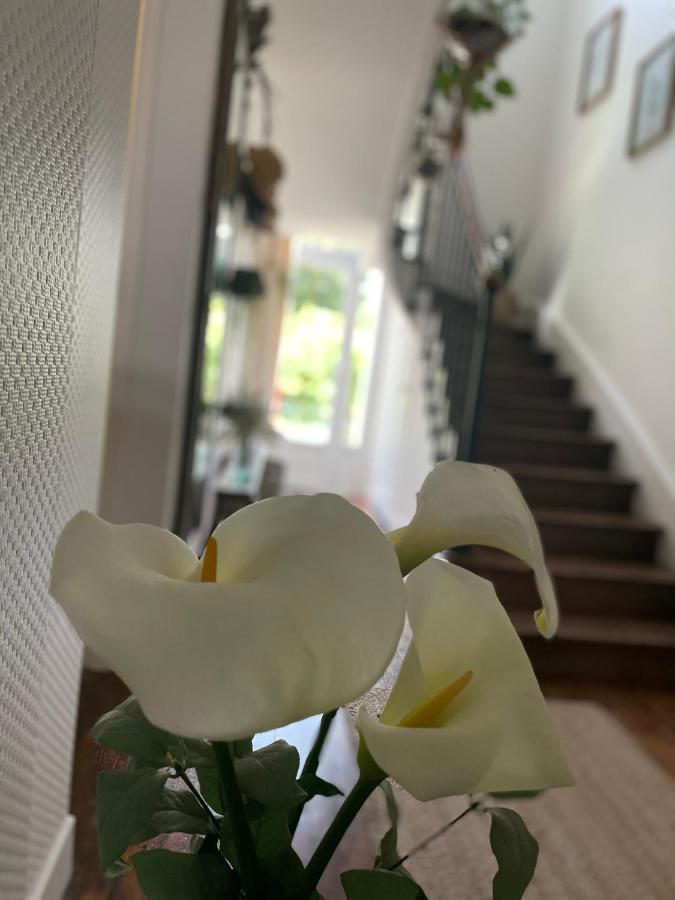 Villa Des Roses Pontmain Zewnętrze zdjęcie